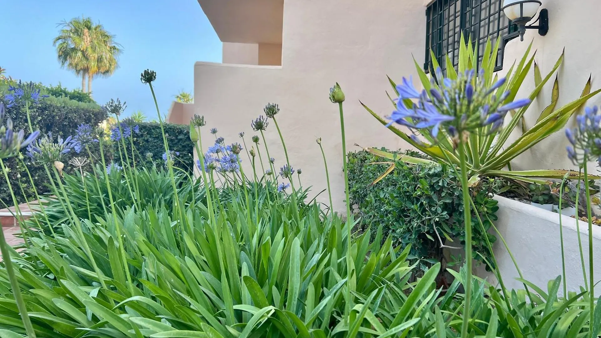 Marbella Bliss Daire İspanya